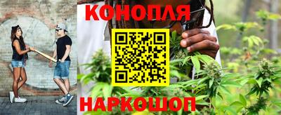 прущие крисы Малгобек