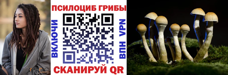 Псилоцибиновые грибы прущие грибы  Елизово 