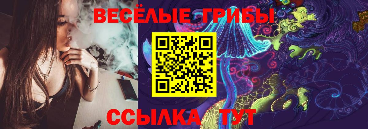 Псилоцибиновые грибы мицелий  Вход с VPN  Елизово 